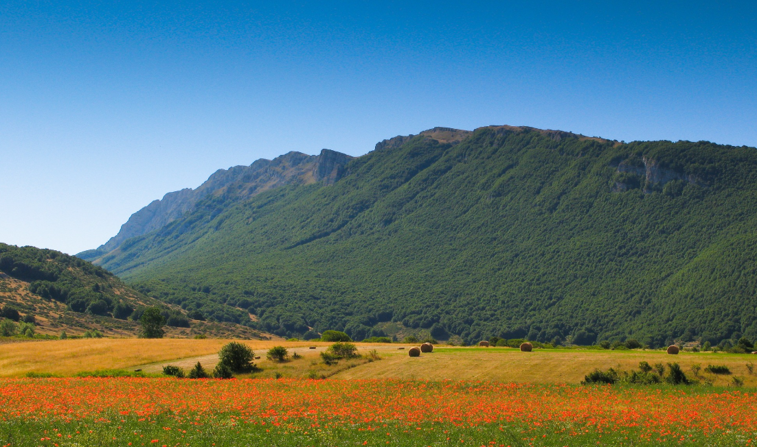 Valorizzazione montagna e aree interne: 400mila euro al Parco Sirente Velino dal Ministero dell’Agricoltura